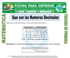 Que son los Numeros Decimales para Tercero de Primaria