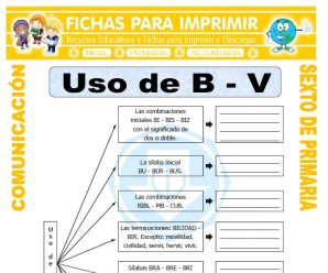 Reglas del Uso de la B para Sexto de Primaria