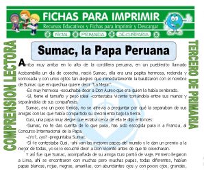 Sumac la Papa Peruana para Tercero de Primaria