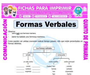 Verbos Simples y Compuestos para Quinto de Primaria