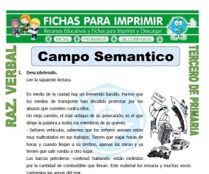 Campo Semantico para Tercero de Primaria