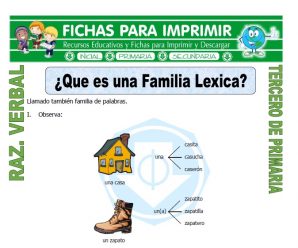 Que es una Familia Lexica para Tercero de Primaria