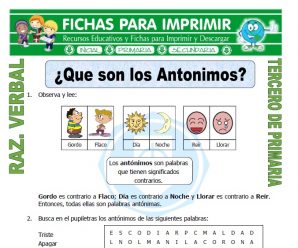 Que son los Antonimos para Tercero de Primaria