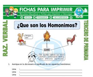 Que son los Homonimos para Tercero de Primaria