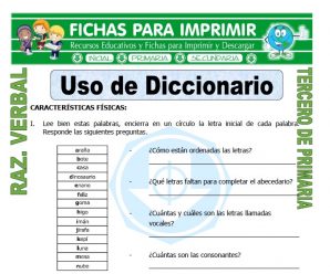 Uso de Diccionario para Tercero de Primaria