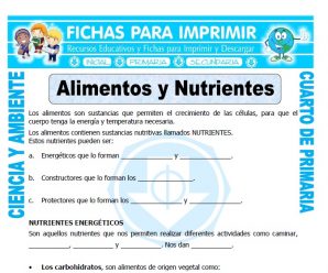 Alimentos y Nutrientes para Cuarto de Primaria
