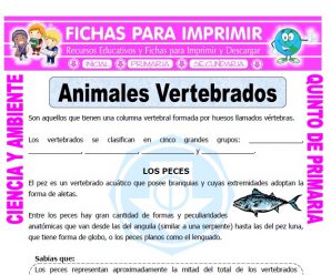 Animales Vertebrados para Quinto de Primaria