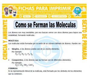 Como se Forman las Moleculas para Sexto de Primaria