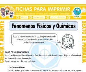 Fenomenos Fisicos y Quimicos para Sexto de Primaria