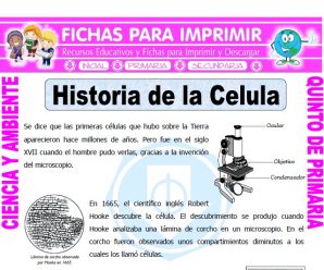 Historia de la Celula para Quinto de Primaria