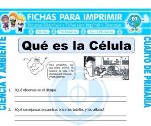 Que es la Celula para Cuarto de Primaria