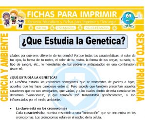 Que Estudia la Genetica para Sexto de Primaria