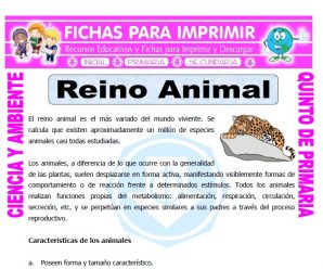 Reino Animal para Quinto de Primaria