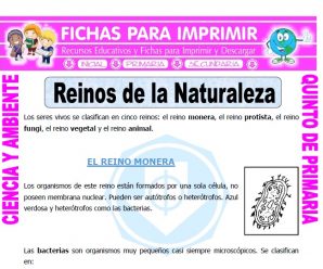 Reinos de la Naturaleza para Quinto de Primaria