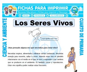 Seres Vivos para Cuarto de Primaria
