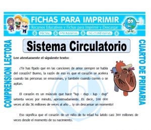 Ficha de Sistema Circulatorio para Cuarto de Primaria