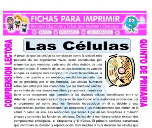 Ficha de Las Celulas para Quinto de Primaria