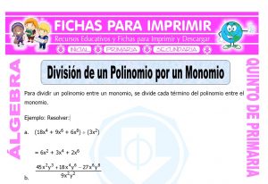 Division de un Polinomio por un Monomio para Quinto de Primaria
