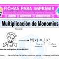 Multiplicacion de Monomios para Quinto de Primaria