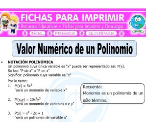 Valor Numerico de un Polinomio para Quinto de Primaria
