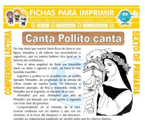 Canta Pollito para Sexto de Primaria
