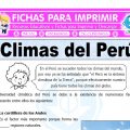 Climas del Perú para Quinto de Primaria
