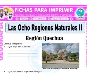 Región Quechua y Suni para Quinto de Primaria