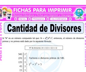 Cantidad de Divisores para Quinto de Primaria