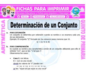 Determinación de un Conjunto para Quinto de Primaria