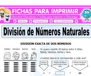 División de Números Naturales para Quinto de Primaria