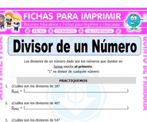Divisor de un Número para Quinto de Primaria