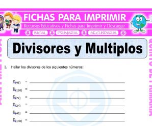Divisores y Múltiplos para Quinto de Primaria