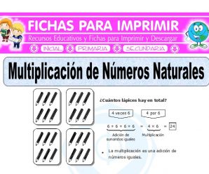 Multiplicación de Números Naturales para Quinto de Primaria