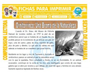 Ficha de Ornitorrinco una Broma de la Naturaleza para Sexto de Primaria