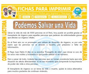 Podemos Salvar una Vida para Sexto de Primaria