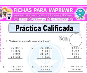 Práctica Calificada para Quinto de Primaria