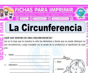 La Circunferencia para Quinto de Primaria