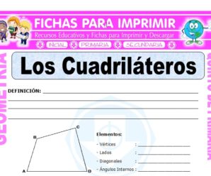 Los Cuadriláteros para Quinto de Primaria