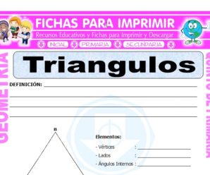Los Triangulos para Quinto de Primaria