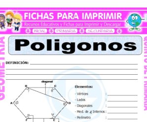 Polígonos para Quinto de Primaria