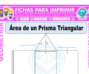 Área de un Prisma Triangular para Quinto de Primaria