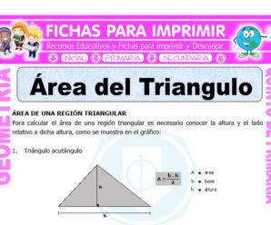 Área del Triangulo para Quinto de Primaria