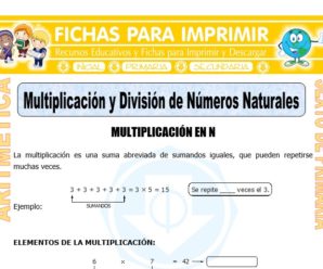 Multiplicación y División de Números Naturales para Sexto de Primaria