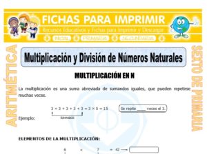 Ficha de Multiplicación y División de Números Naturales para Sexto de Primaria
