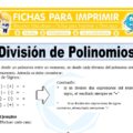 División de Polinomios para Sexto de Primaria