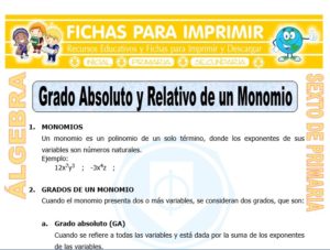 Ficha de Grado Absoluto y Relativo de un Monomio para Sexto de Primaria