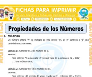 Propiedades de los Números para Sexto de Primaria