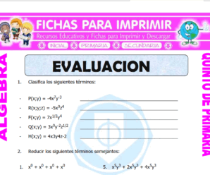 Evaluación de Algebra  para Quinto de Primaria