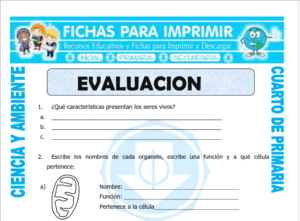 Cuestionario de Ciencia y Ambiente  para Cuarto de Primaria