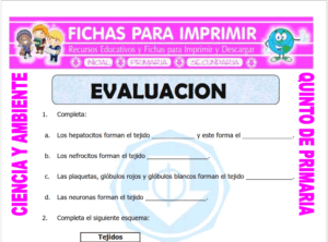 Cuestionario de Ciencia y Ambiente  para Quinto de Primaria